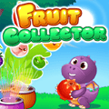 fruit collector